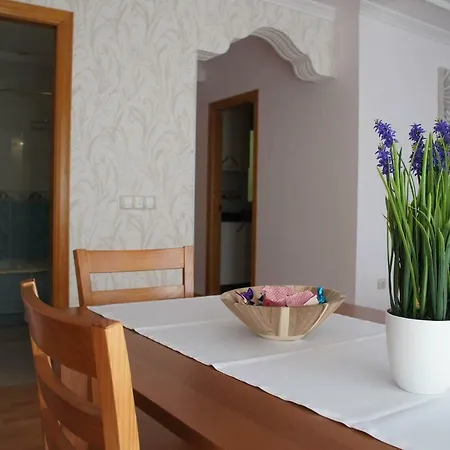 Apartment Puerto Pardise E